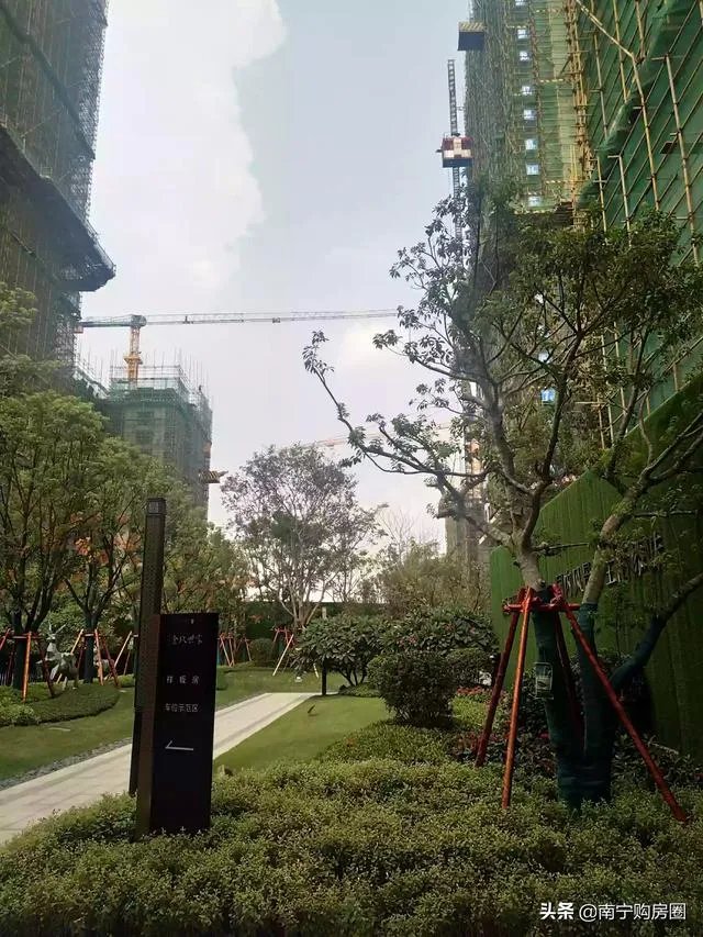 柳州的房价如何?