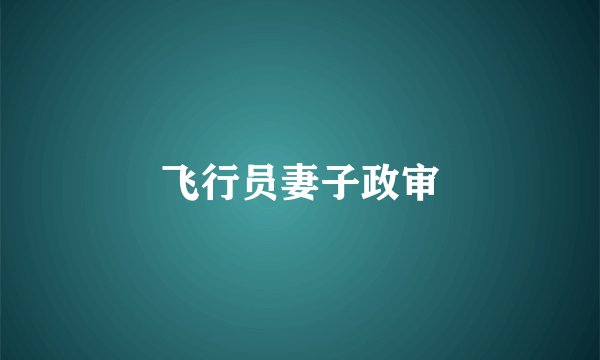 飞行员妻子政审