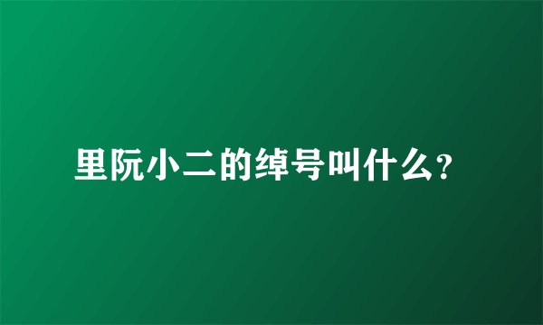 里阮小二的绰号叫什么?
