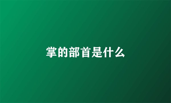 掌的部首是什么