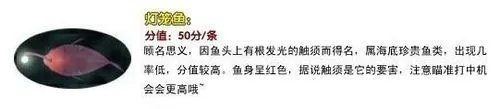 打鱼游戏技巧