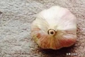 怎样做皮冻？