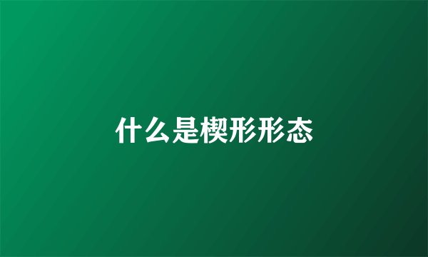 什么是楔形形态