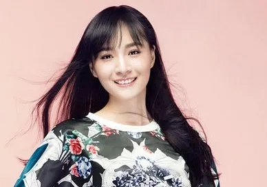 电视剧《政委》的主演都有谁?