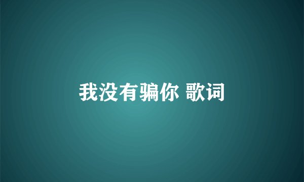我没有骗你 歌词