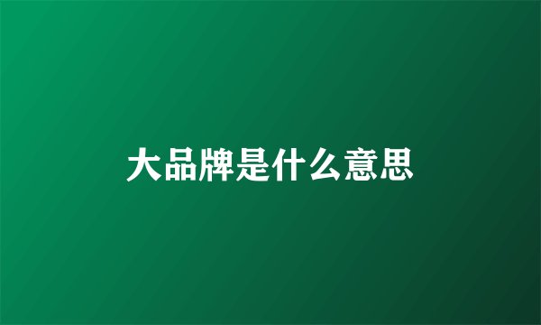 大品牌是什么意思