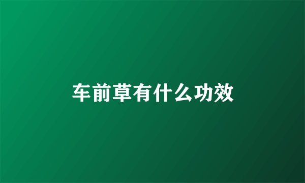 车前草有什么功效