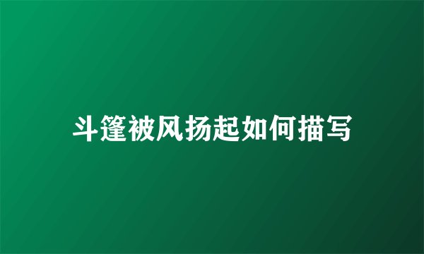 斗篷被风扬起如何描写