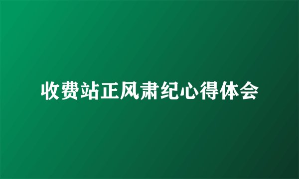 收费站正风肃纪心得体会