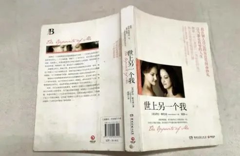 《世上的另一个我》txt全集下载