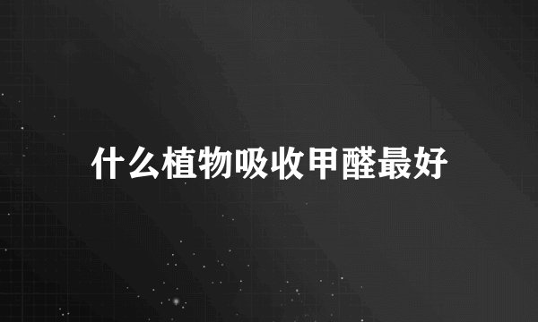 什么植物吸收甲醛最好