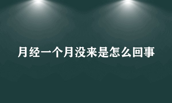 月经一个月没来是怎么回事
