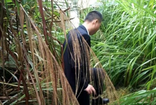 长沙最好楼盘78栋别墅无人认领,其中有什么隐情?