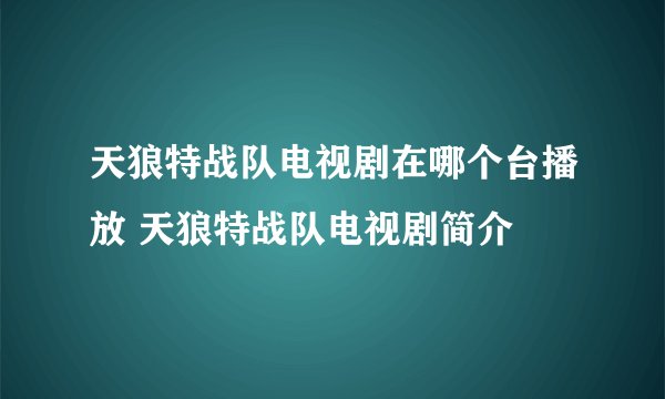 天狼特战队电视剧在哪个台播放 天狼特战队电视剧简介