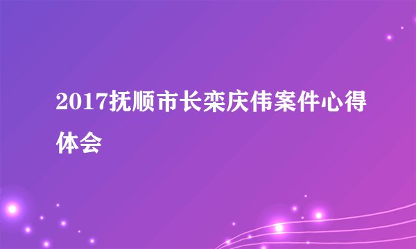 2017抚顺市长栾庆伟案件心得体会