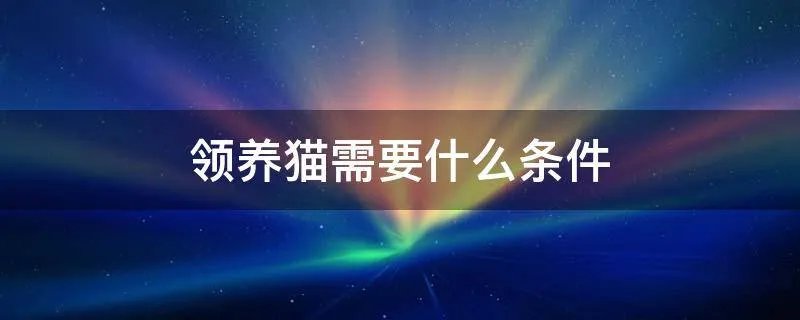 领养猫需要什么条件