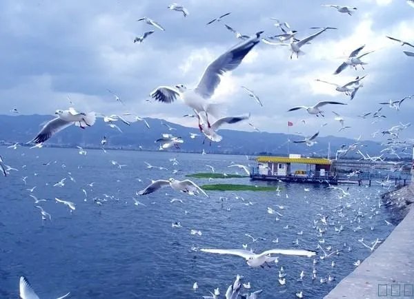 云南旅游线路
