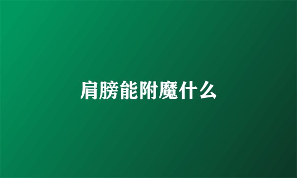 肩膀能附魔什么