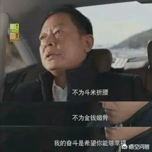 你怎么看电视剧《归去来》中王志文扮演的书望?
