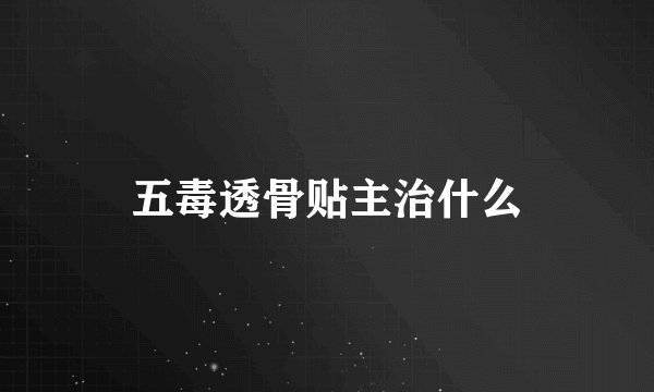 五毒透骨贴主治什么