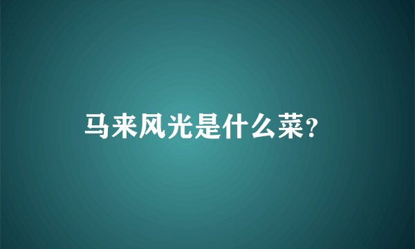 马来风光是什么菜？