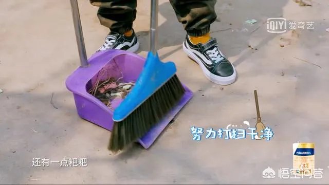 邓莎家的大麟子你们喜欢吗?