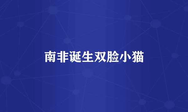 南非诞生双脸小猫