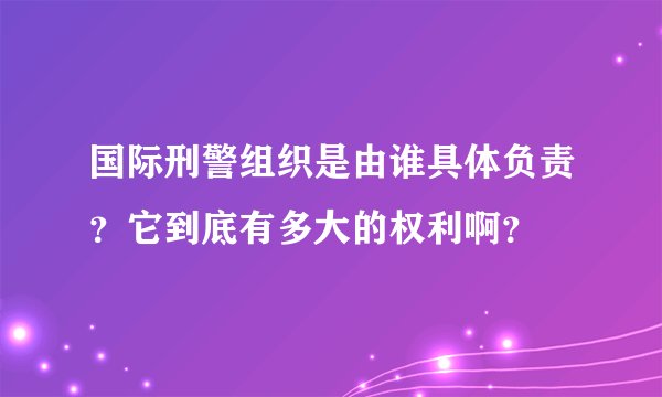国际刑警组织是由谁具体负责?它到底有多大的权利啊?