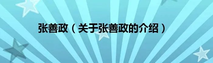 张善政（关于张善政的介绍）