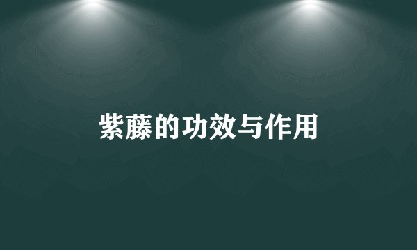 紫藤的功效与作用