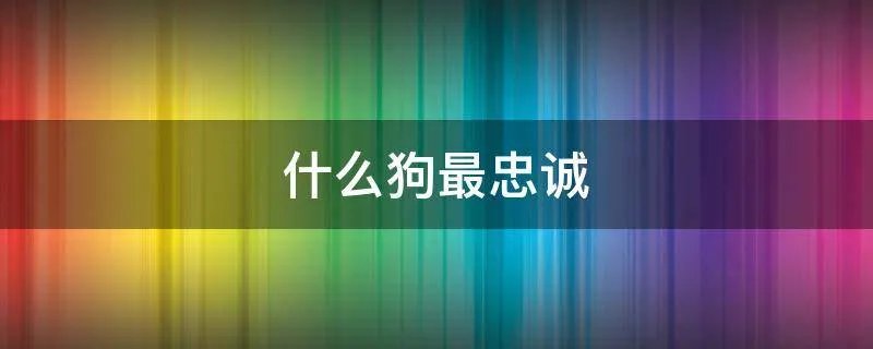 什么狗最忠诚