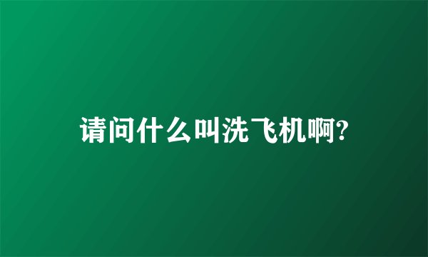 请问什么叫洗飞机啊?