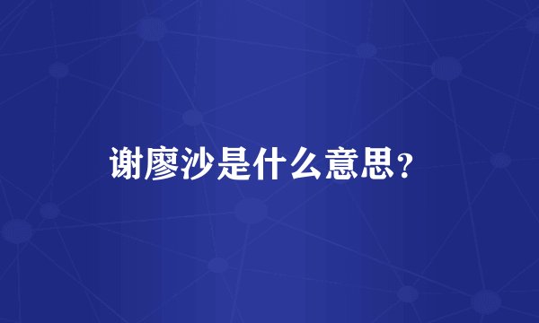 谢廖沙是什么意思?