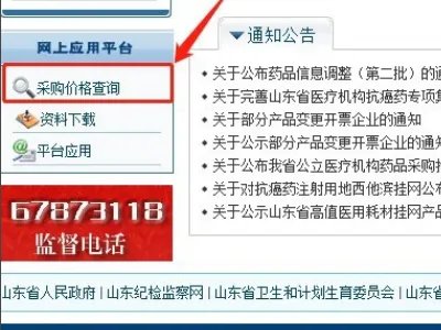 药品挂网价怎么查询