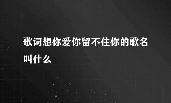 歌词想你爱你留不住你的歌名叫什么