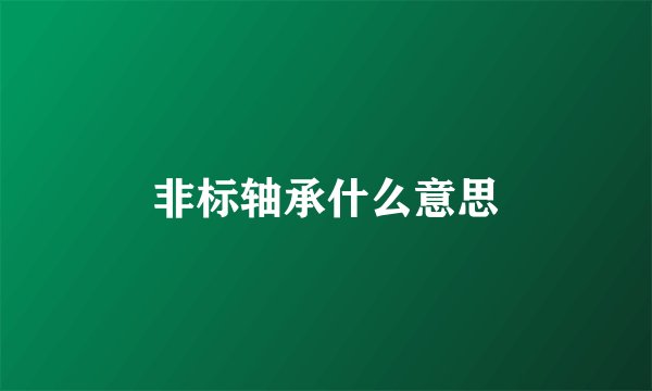 非标轴承什么意思