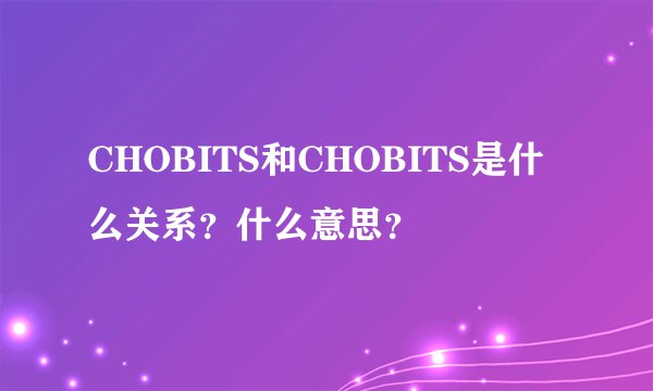 CHOBITS和CHOBITS是什么关系?什么意思?