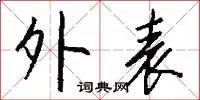 外表