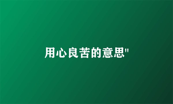 用心良苦的意思