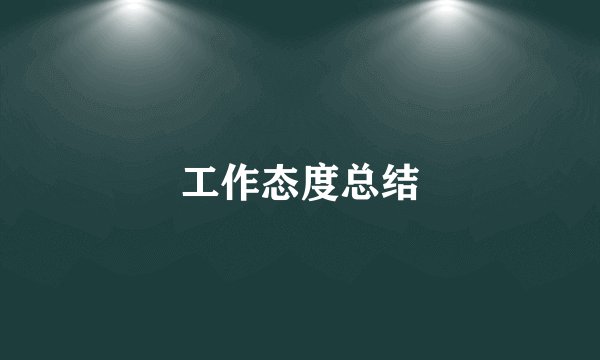 工作态度总结