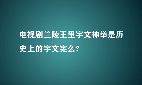 电视剧兰陵王里宇文神举是历史上的宇文宪么?