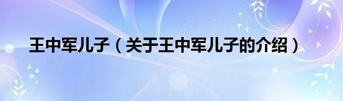 王中军儿子（关于王中军儿子的介绍）