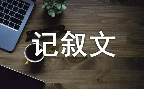怎样写记叙文