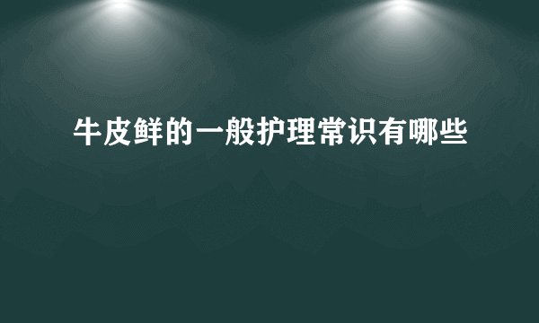 牛皮鲜的一般护理常识有哪些