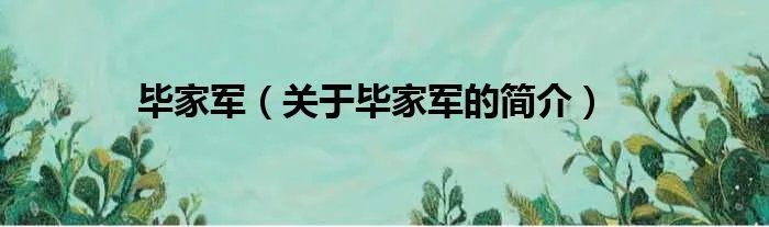 毕家军（关于毕家军的简介）
