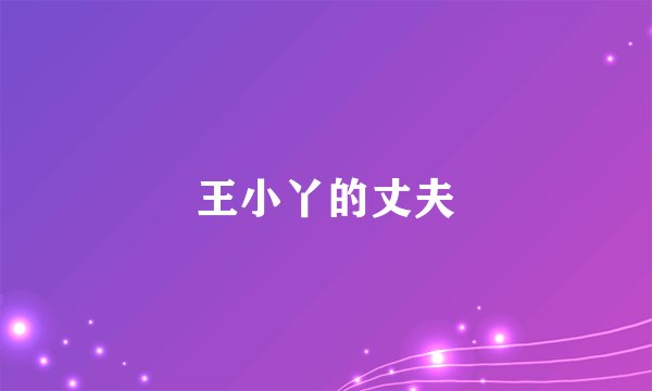 王小丫的丈夫