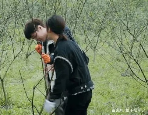 张艺兴发现与杨紫撞睡衣,连忙跑回房间,随后有什么举动呢?