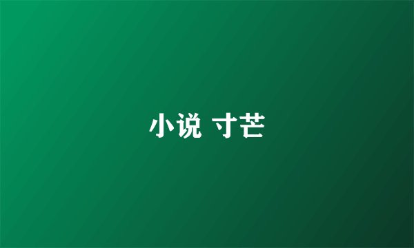 小说 寸芒