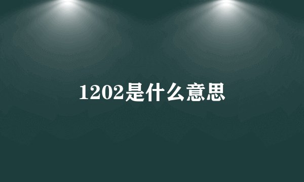 1202是什么意思