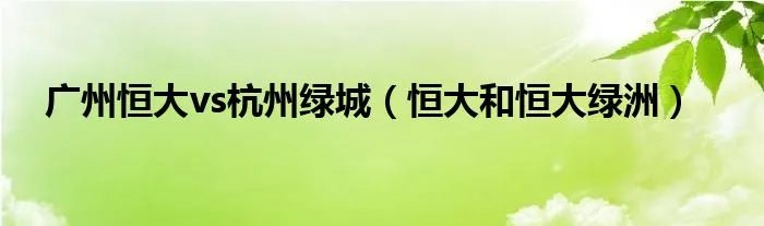 广州恒大vs杭州绿城（恒大和恒大绿洲）